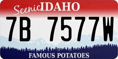 ID license plate 7B7577W