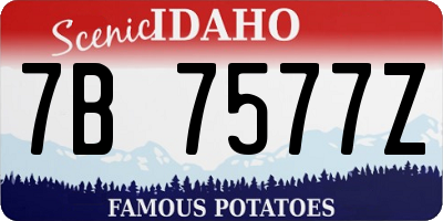 ID license plate 7B7577Z
