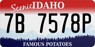 ID license plate 7B7578P