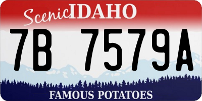 ID license plate 7B7579A