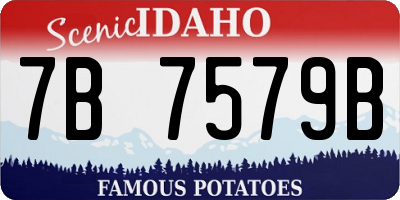 ID license plate 7B7579B
