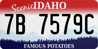 ID license plate 7B7579C