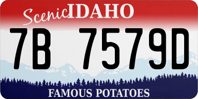 ID license plate 7B7579D