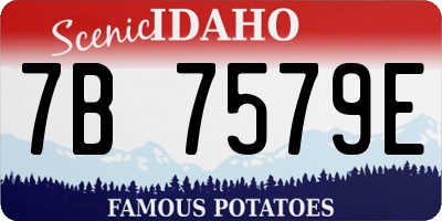 ID license plate 7B7579E