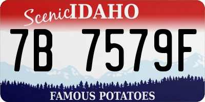 ID license plate 7B7579F