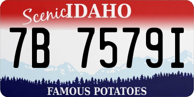 ID license plate 7B7579I