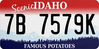 ID license plate 7B7579K