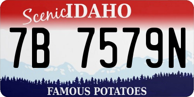 ID license plate 7B7579N