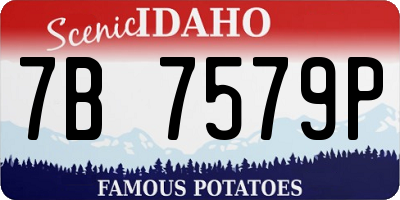 ID license plate 7B7579P