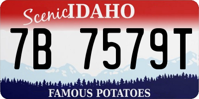 ID license plate 7B7579T