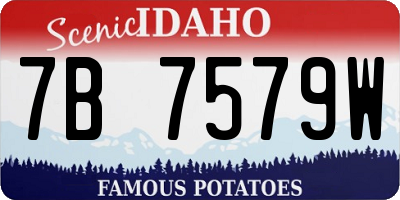 ID license plate 7B7579W