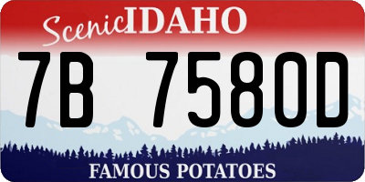 ID license plate 7B7580D