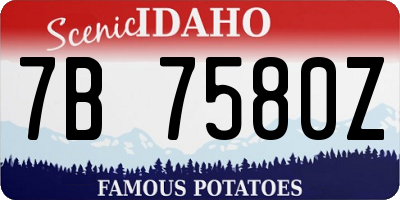 ID license plate 7B7580Z