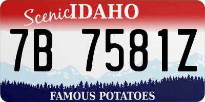 ID license plate 7B7581Z