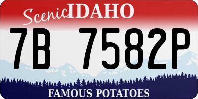 ID license plate 7B7582P