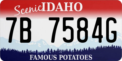 ID license plate 7B7584G