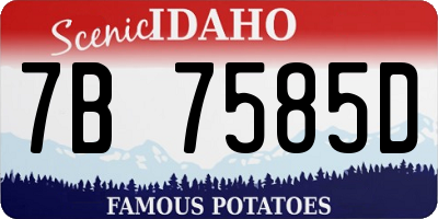ID license plate 7B7585D