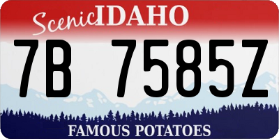 ID license plate 7B7585Z
