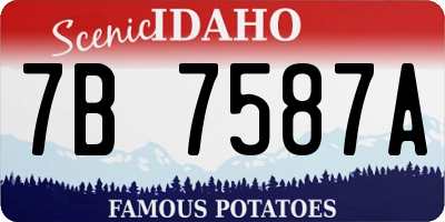 ID license plate 7B7587A