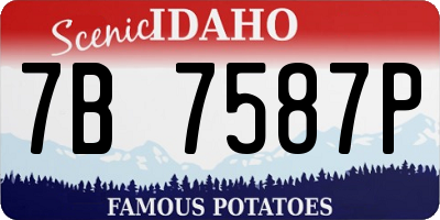 ID license plate 7B7587P