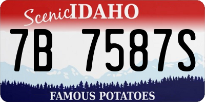 ID license plate 7B7587S