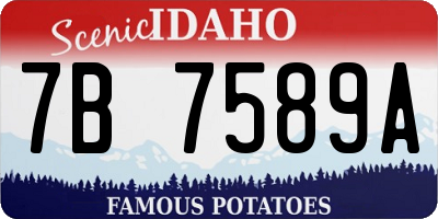 ID license plate 7B7589A