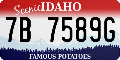 ID license plate 7B7589G