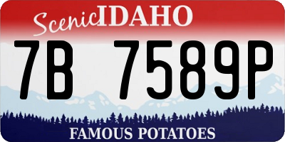 ID license plate 7B7589P