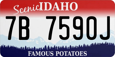 ID license plate 7B7590J