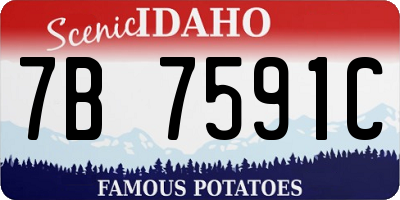 ID license plate 7B7591C