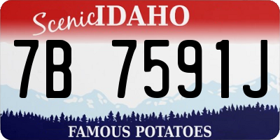 ID license plate 7B7591J