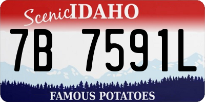 ID license plate 7B7591L