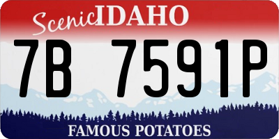 ID license plate 7B7591P