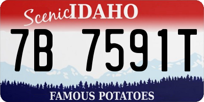 ID license plate 7B7591T