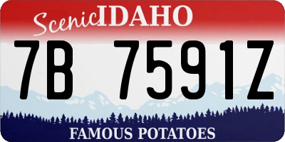 ID license plate 7B7591Z