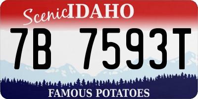 ID license plate 7B7593T