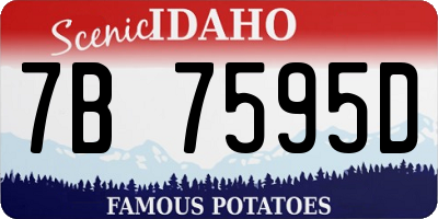 ID license plate 7B7595D
