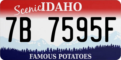 ID license plate 7B7595F