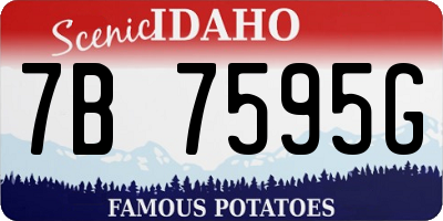 ID license plate 7B7595G