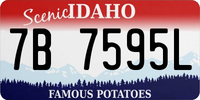ID license plate 7B7595L