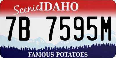 ID license plate 7B7595M