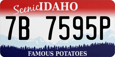 ID license plate 7B7595P
