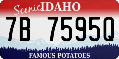 ID license plate 7B7595Q