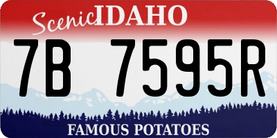 ID license plate 7B7595R