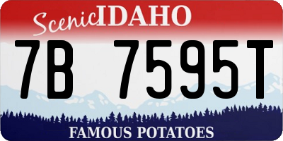 ID license plate 7B7595T