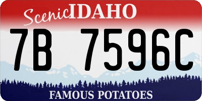 ID license plate 7B7596C