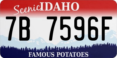 ID license plate 7B7596F