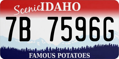 ID license plate 7B7596G