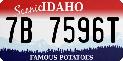 ID license plate 7B7596T