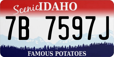 ID license plate 7B7597J
